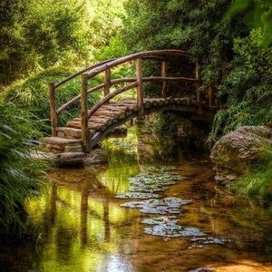 Meet your Posher, Sally